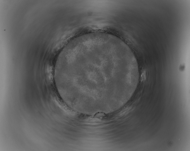 X0000112491156200909071215