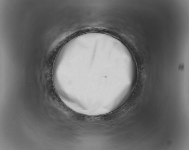 X0000112491159200909071215