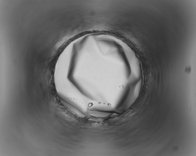 X0000112491160200909071215