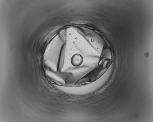 X0000112491161200909071215