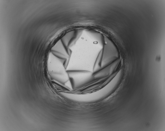 X0000112491162200909071214