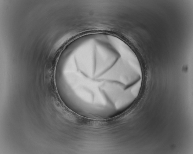 X0000112491163200909071214