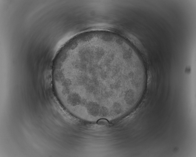 X0000112491164200909071214