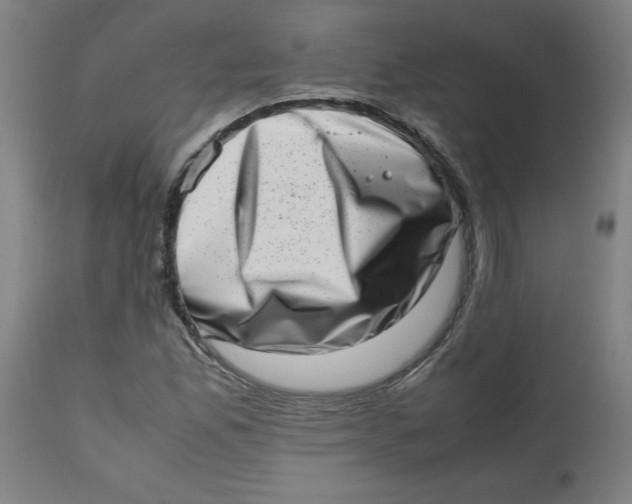 X0000112491165200909071214