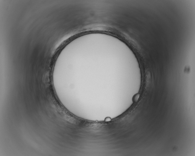 X0000112491166200909071214