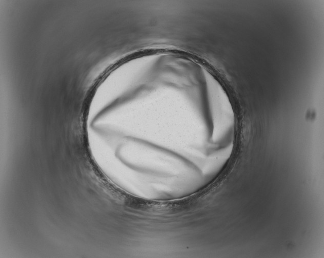 X0000112491167200909071214