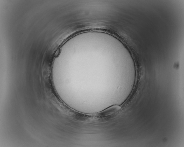 X0000112491169200909071214