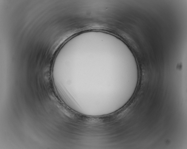 X0000112491170200909071214