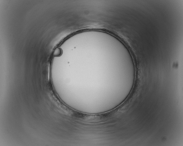 X0000112491171200909071214