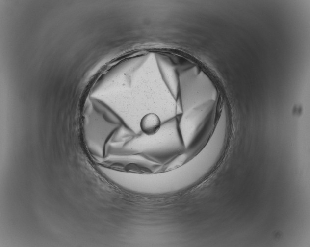 X0000112491173200909071214