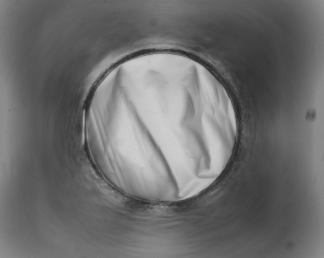 X0000112491175200909071214