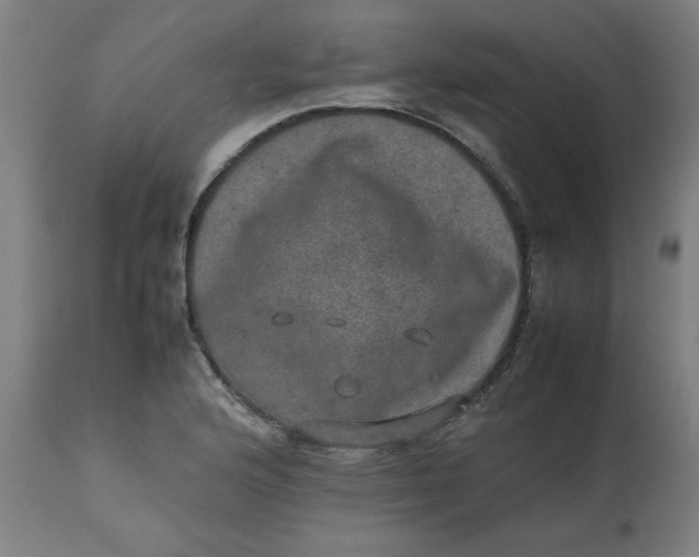 X0000112491176200909071214