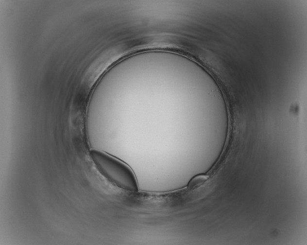 X0000112491177200909071214