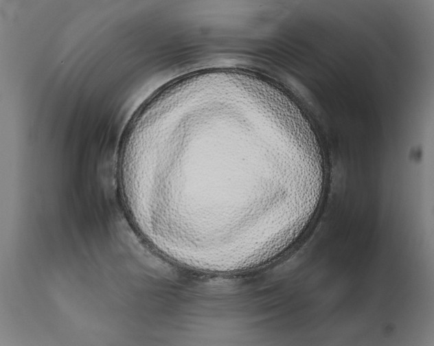 X0000112491178200909071214