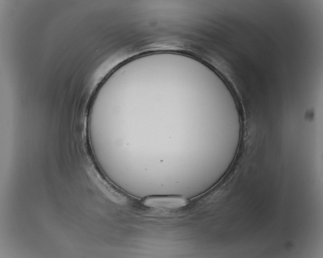 X0000112491179200909071214