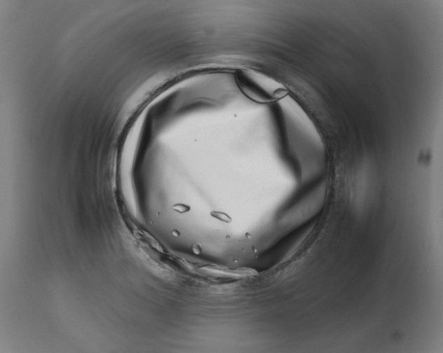 X0000112491180200909071214