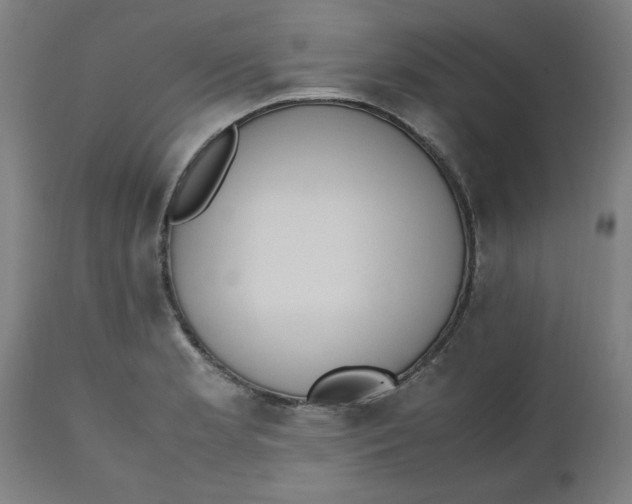 X0000112491181200909071214