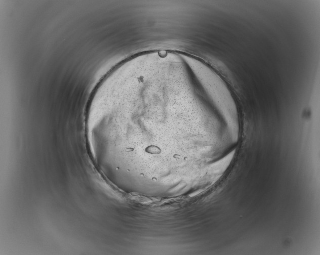 X0000112491184200909071214