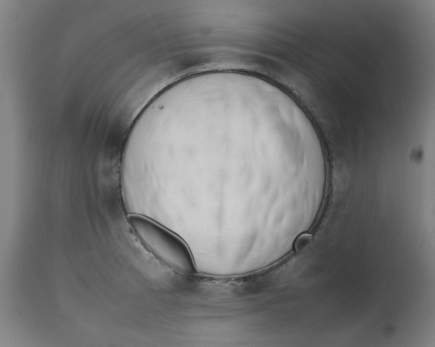 X0000112491185200909071214