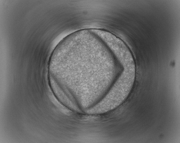 X0000112491187200909071214