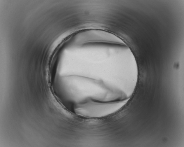 X0000112491188200909071214