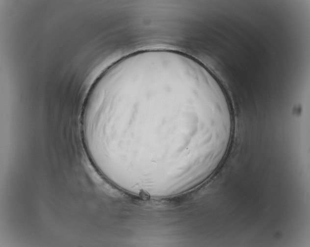 X0000112491189200909071214