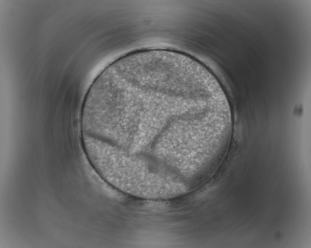 X0000112491191200909071214