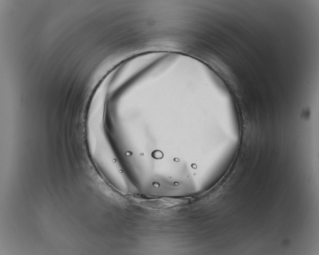 X0000112491192200909071214