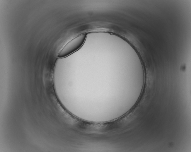 X0000112491193200909071214