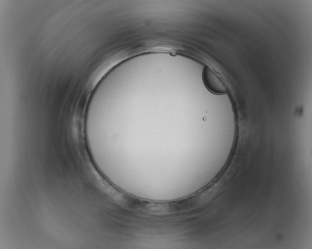 X0000112491194200909071214