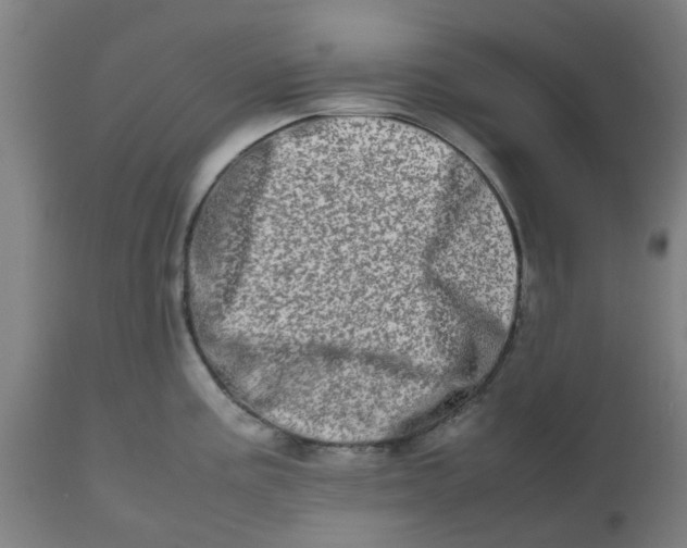 X0000112491195200909071214