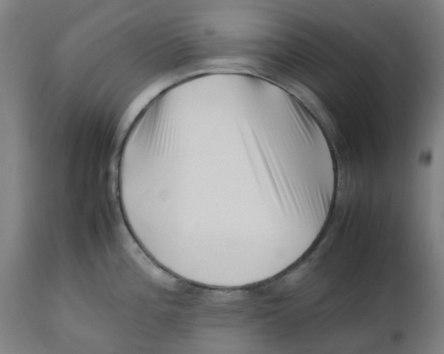 X0000112491196200909071214