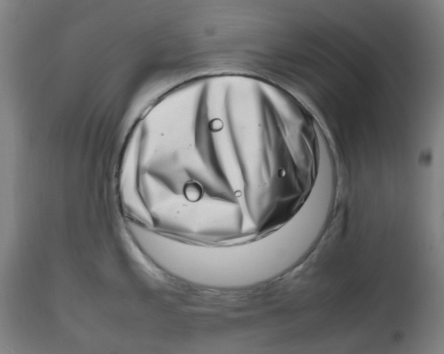 X0000112491197200909071214