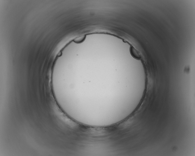 X0000112491198200909071214