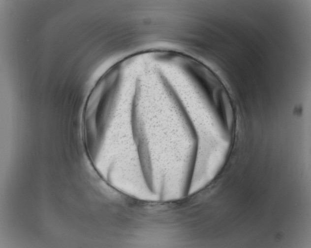 X0000112491199200909071214