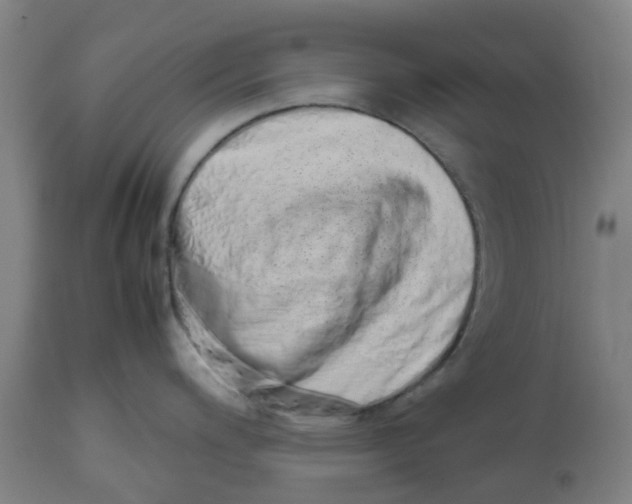 X0000112491200200909071214