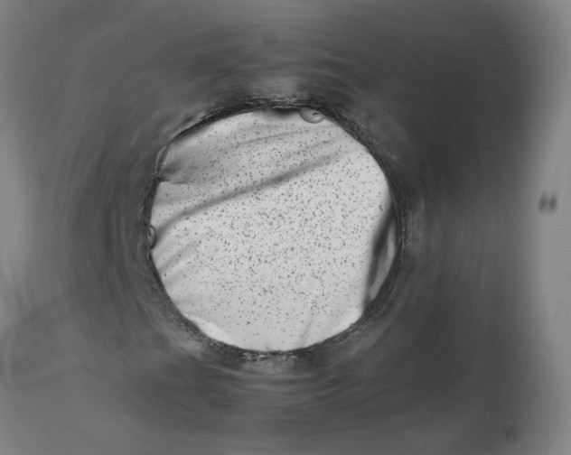 X0000112491201200909071213