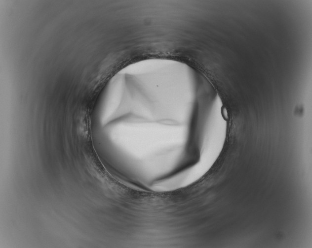 X0000112491202200909071213