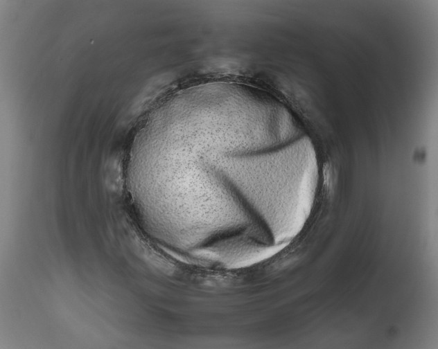 X0000112491203200909071213