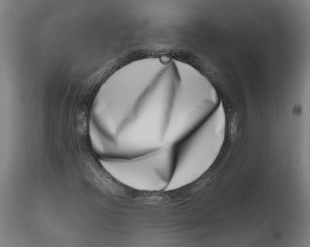 X0000112491204200909071213