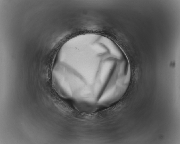 X0000112491205200909071213