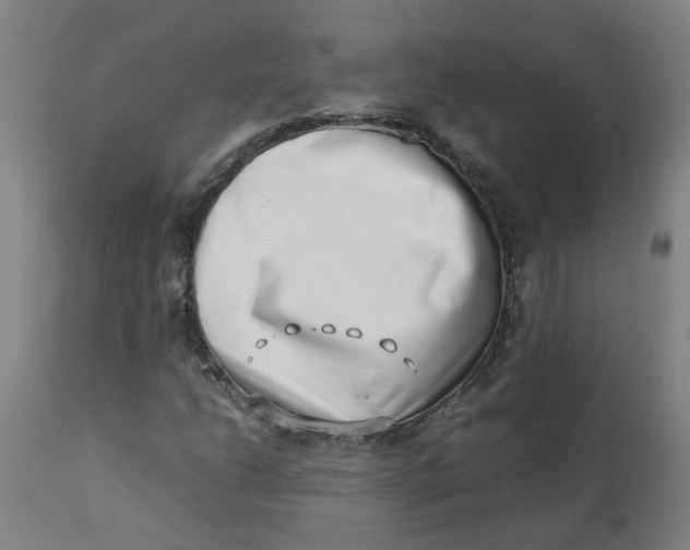 X0000112491206200909071213