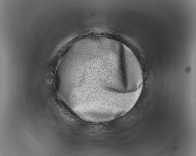 X0000112491207200909071213