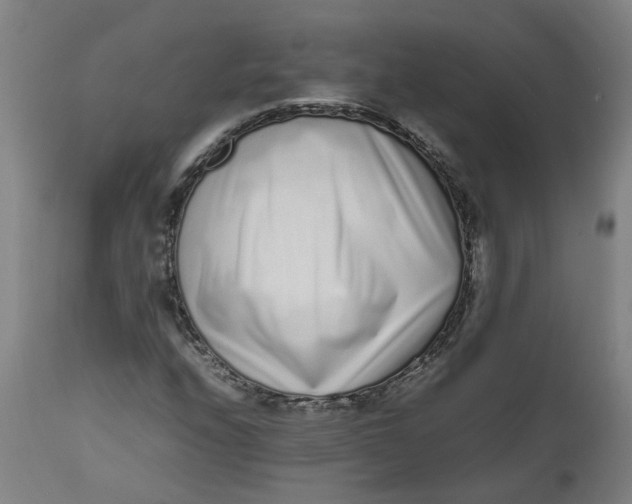 X0000112491208200909071213