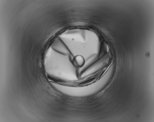 X0000112491209200909071213