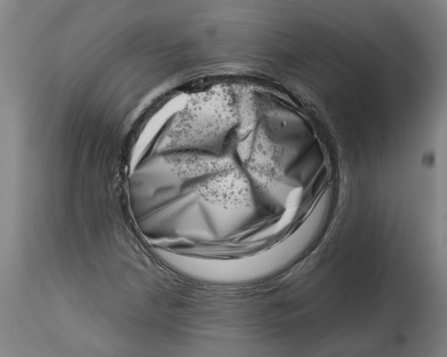 X0000112491210200909071213