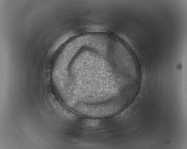 X0000112491211200909071213