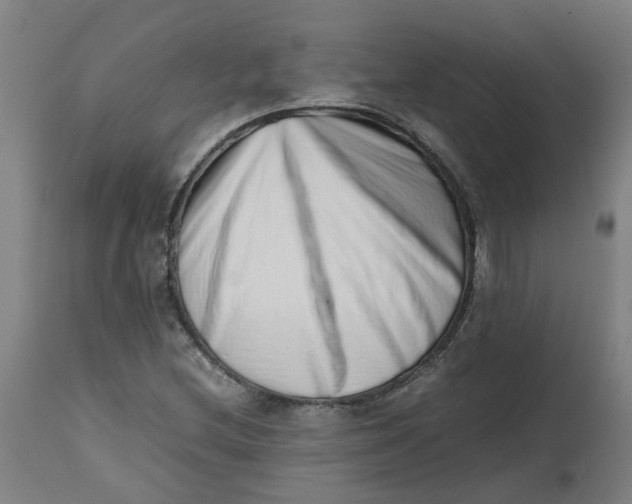 X0000112491212200909071213