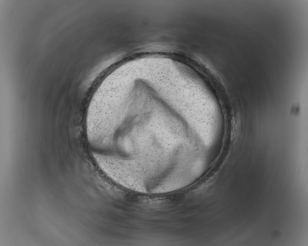 X0000112491213200909071213