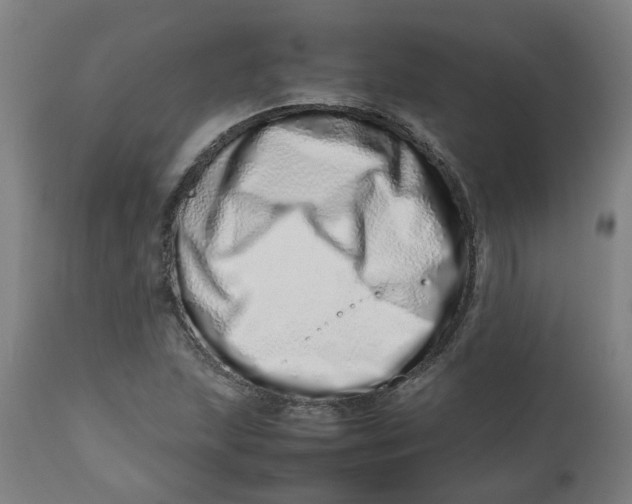 X0000112491215200909071213